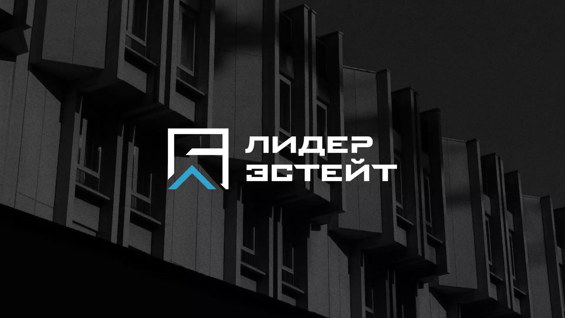 Разработка логотипа агентства недвижимости «Лидер Эстейт» в Архангельске
